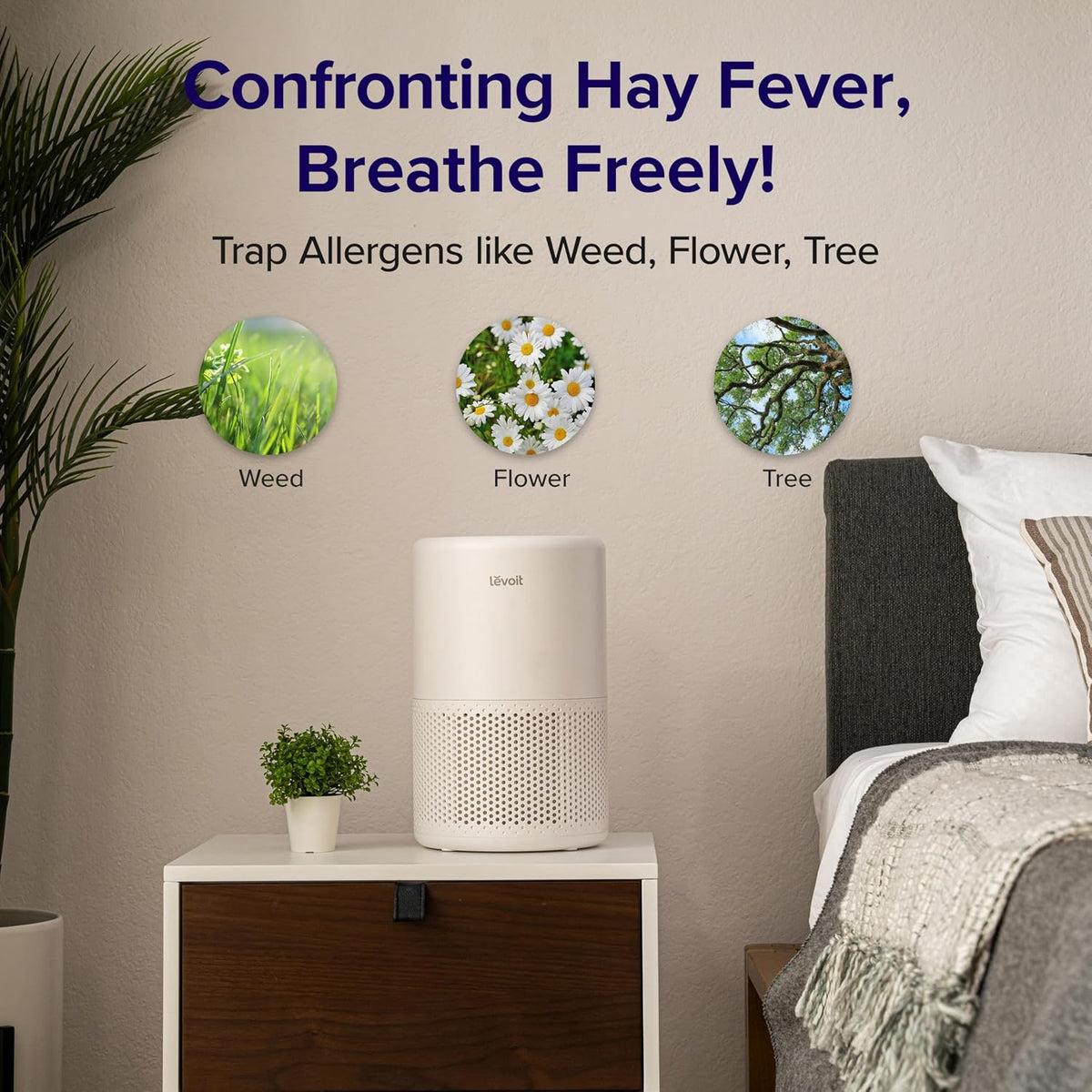LEVOIT Core 200S Smart HEPA Air Purifier, 64m² Coverage - App & Alexa Control, Removes 99.97% Pollen, Dust, Odour & Smoke